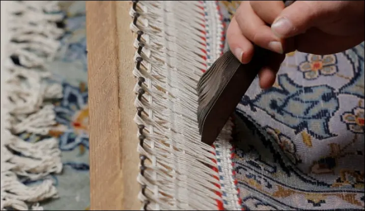 ریشه زنی فرش