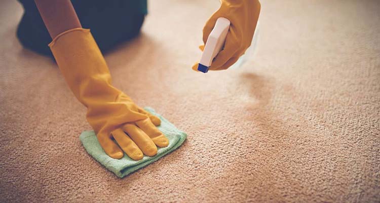 چگونه لکه لبو روی فرش را پاک کنیم؟ 0 تا 100 مراحل آن